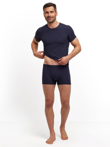 FALKE Boxer shorts in Blue