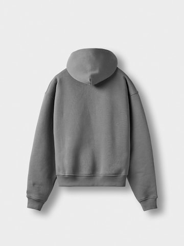 Burocs Sweatshirt in Grey