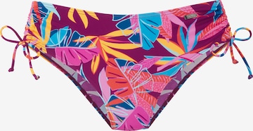 Bas de bikini BUFFALO en violet : devant