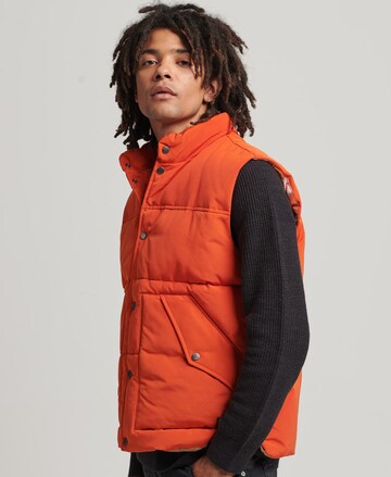 Superdry Bodywarmer 'Vintage Mountain' in Rood: voorkant