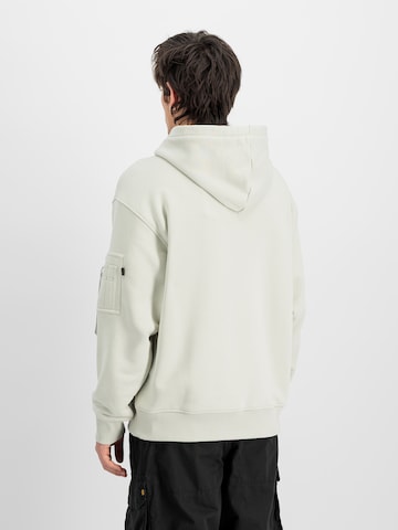 ALPHA INDUSTRIES Sweatshirt 'DTM ML' in Grau: Rückseite