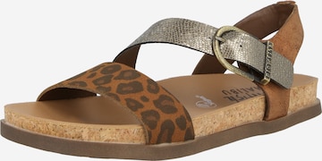 Sandalo 'Lance' di Blowfish Malibu in beige: frontale