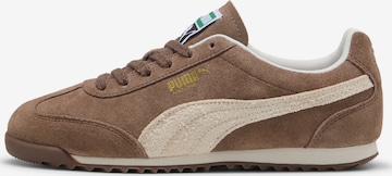 PUMA Sneaker 'Arizona' in Braun: Vorderseite