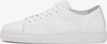 Baskets basses Kazar en blanc : devant