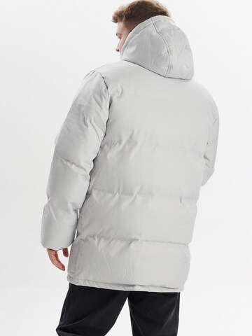 Dxnmxrk Winter jacket 'DXDown' in Grey