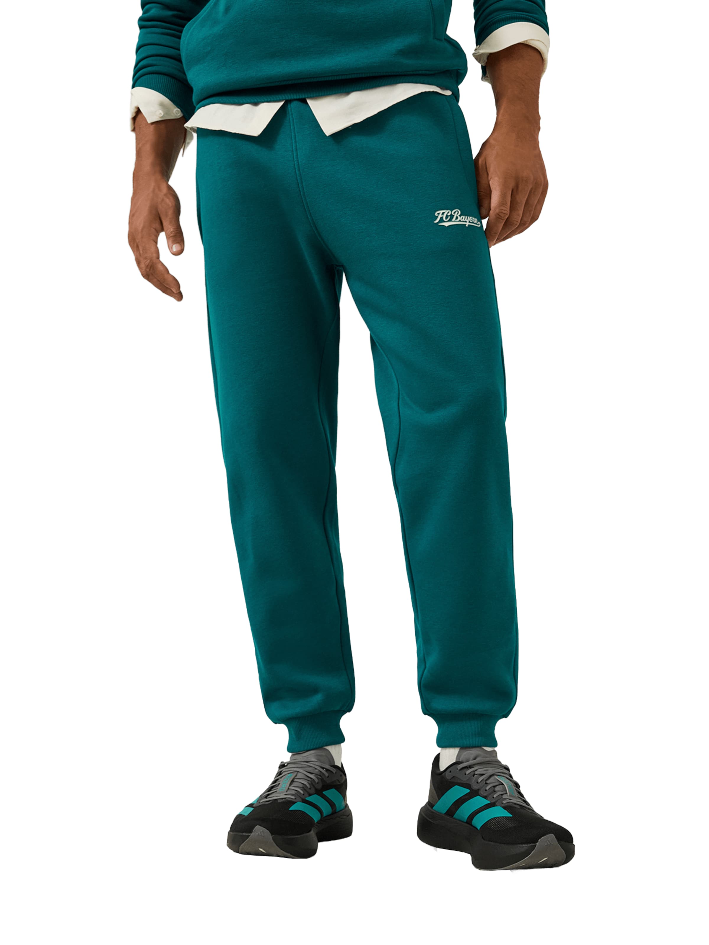 FC BAYERN MÜNCHEN Regular Pants in Green: front