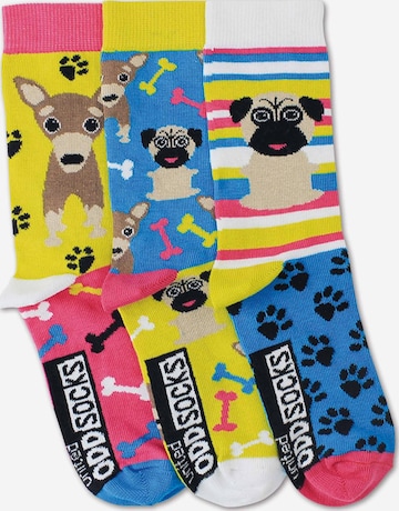 Chaussettes United Oddsocks en mélange de couleurs : devant