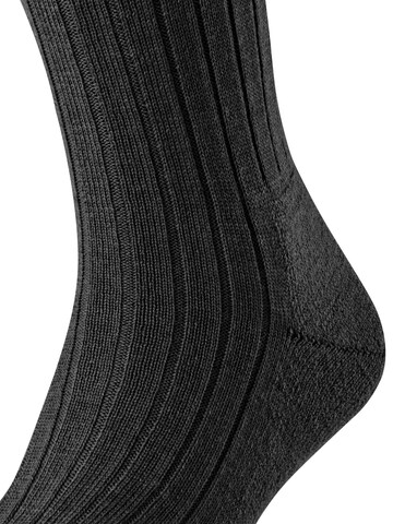 FALKE Kniestrümpfe 'Teppich im Schuh'‌‌‌‌‌‌‌‌ in Schwarz