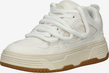 STEVE MADDEN Matalavartiset tennarit 'Boomer' värissä beige: etupuoli