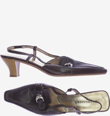 SALAMANDER Sandals & High-Heeled Sandals in 41 in Brown: front