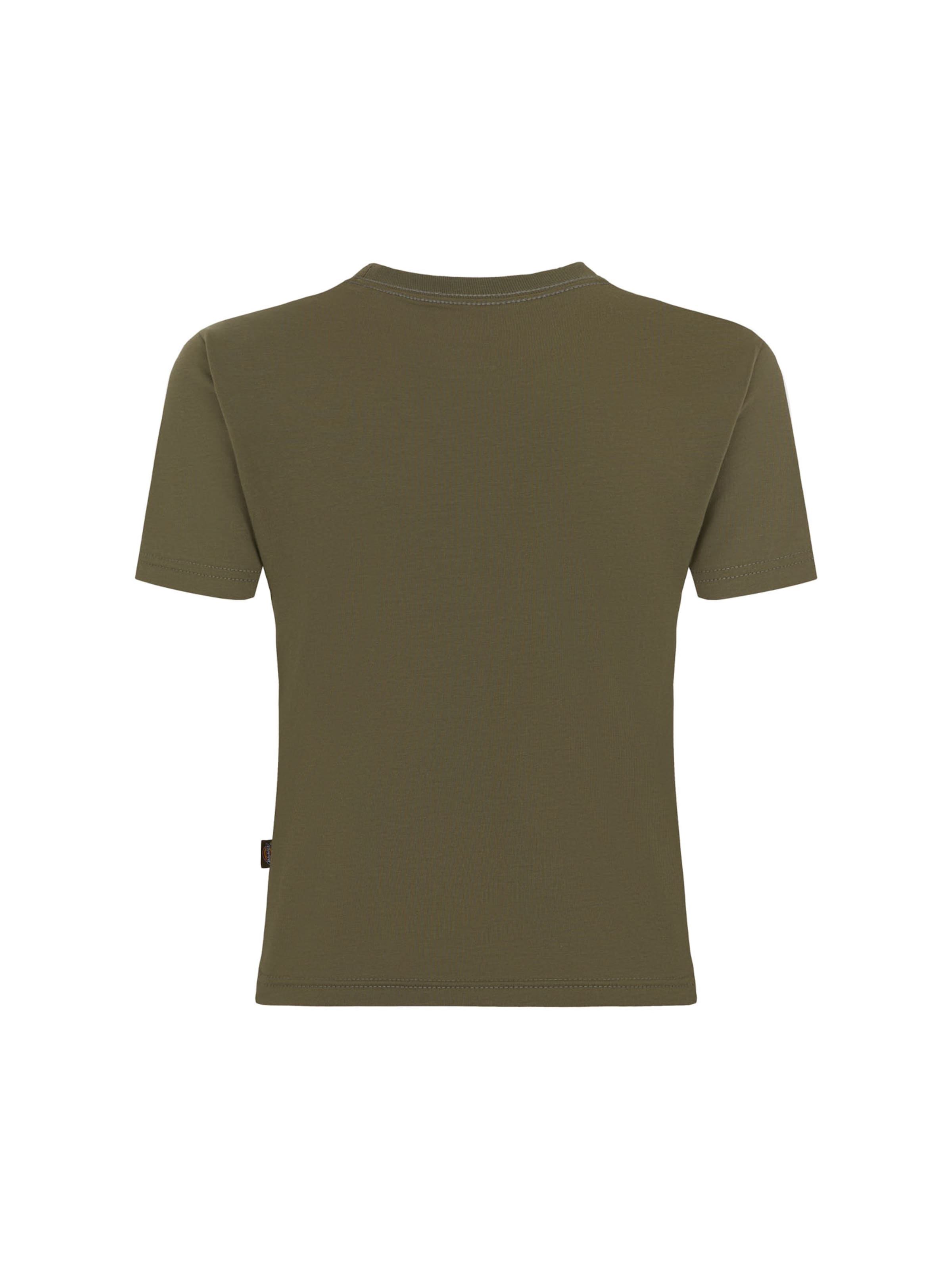 DICKIES Shirts 'MAPLE VALLEY' i grøn