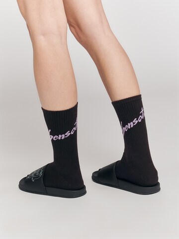 Chaussettes 'Sensationell' ABOUT YOU x StayKid en noir : derrière