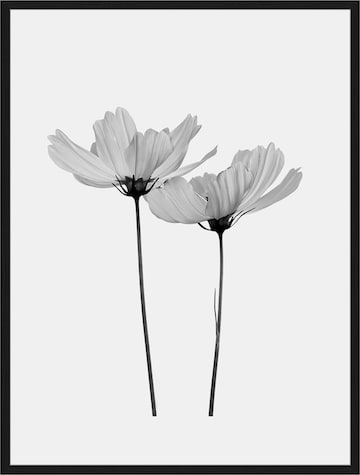 Liv Corday Image 'Cosmos' in Black: front