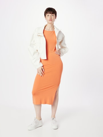 Calvin Klein Jeans Obleka | oranžna barva