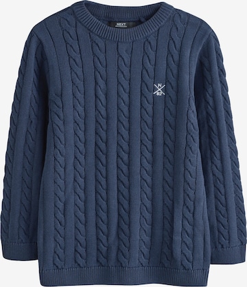 mėlyna Next Megztinis: priekis