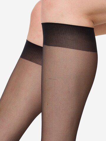 Nur Die - Calcetines ' Strümpfe & Söckchen 20 DEN ' en negro