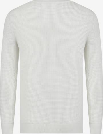 DENIM CULTURE Pullover 'ALJAMAIN' in Weiß