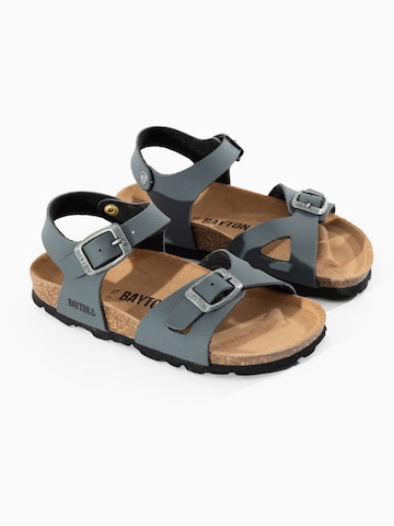 Bayton Sandal 'Pegase' in Grey