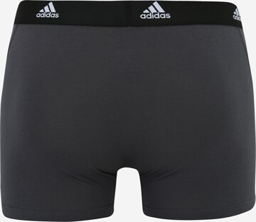 ADIDAS SPORTSWEAR Sports underpants in Mixed colours