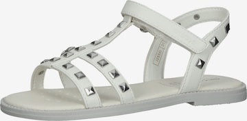 GEOX Sandals & Slippers in White: front