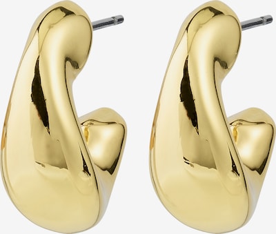 Pilgrim Korvakoru 'Jennings' värissä kulta, Tuotenäkymä