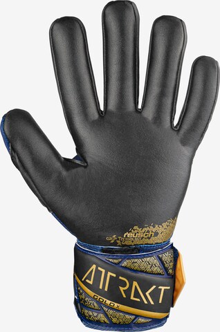 REUSCH Torwarthandschuh 'Attrakt Gold X NC' in Blau