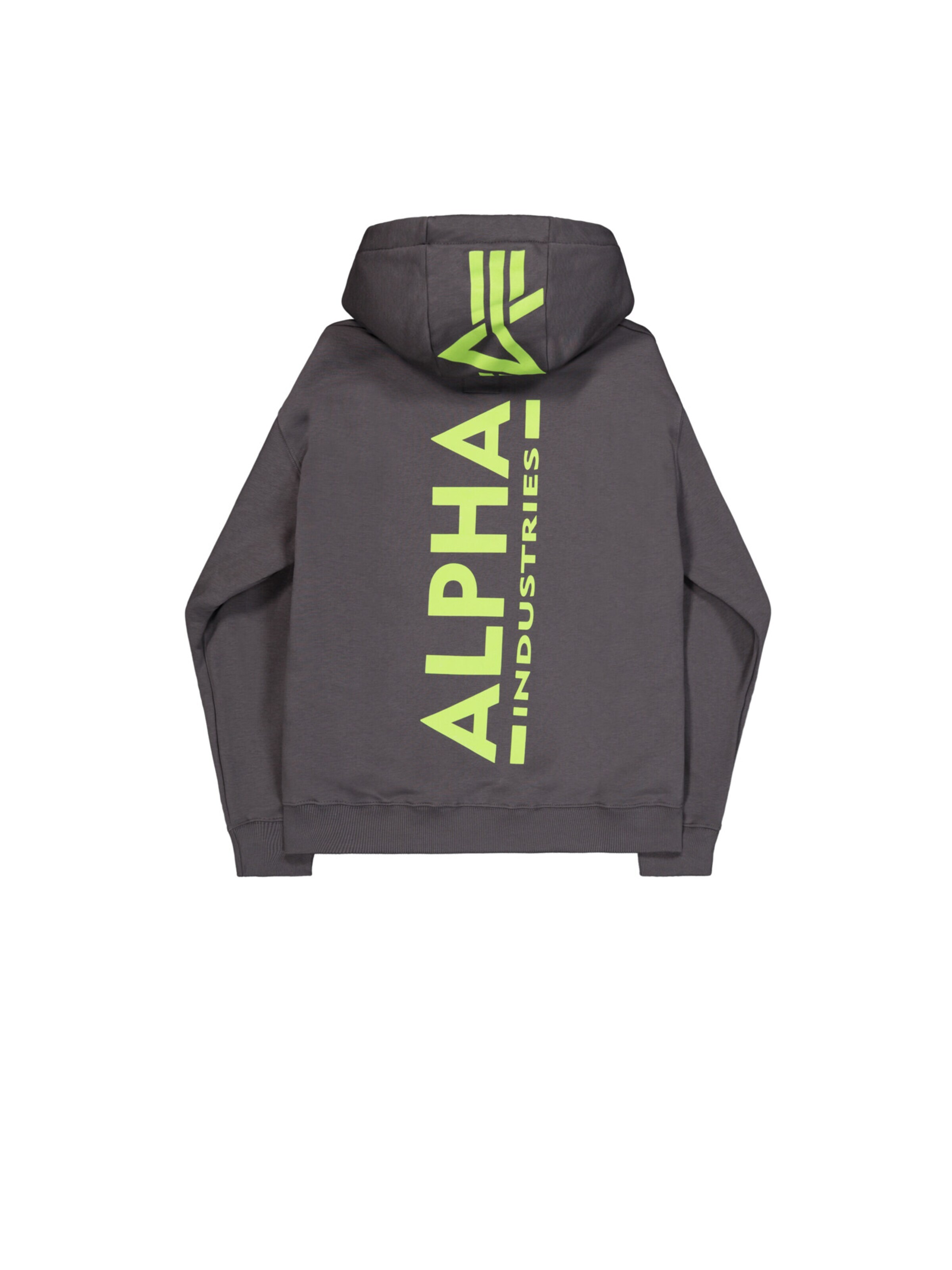 ALPHA INDUSTRIES Sweatshirt 'Backprint'‌‌‌‌‌ in Grau