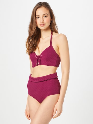 Bas de bikini LingaDore en violet