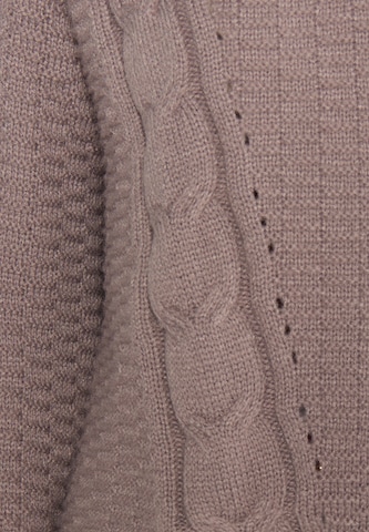 DreiMaster Vintage Sweater 'Incus' in Brown