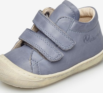 NATURINO Sneaker 'COCOON' in Grau: Vorderseite