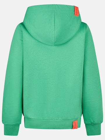 salzhaut Sweatshirt in Green: back