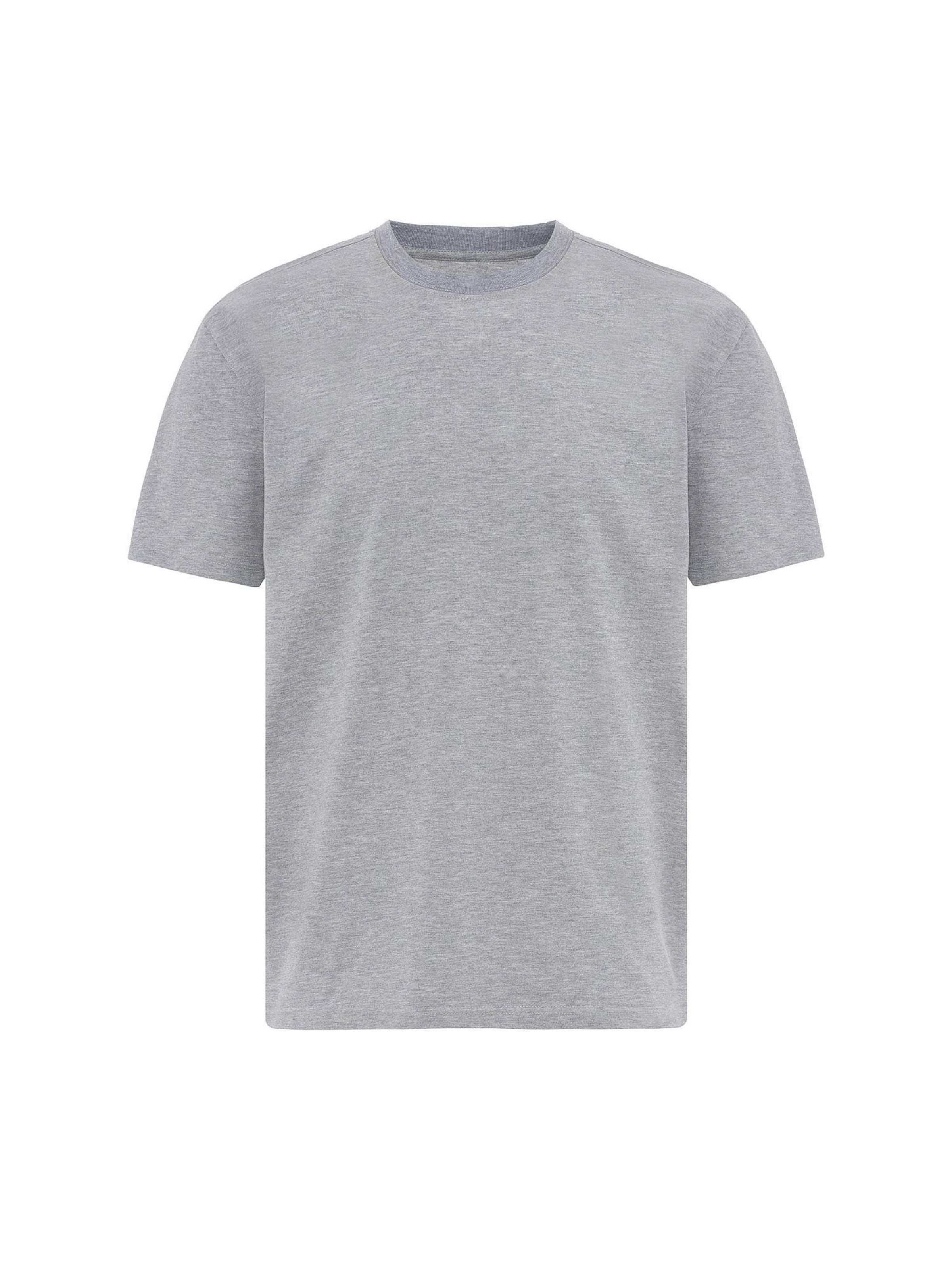 Williot T-Shirt in Grau: Vorderseite