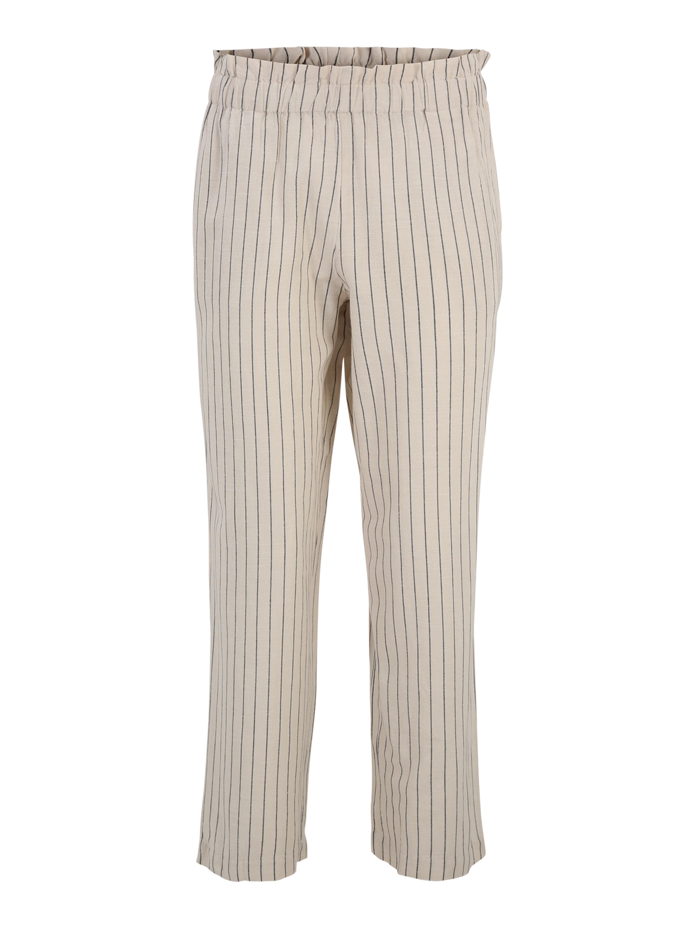 Vila Petite regular Παντελόνι 'PRISILLA' σε καφέ: μπροστά