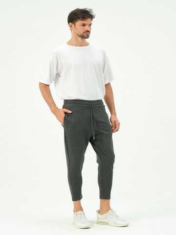 C&City Tapered Pants in Grey
