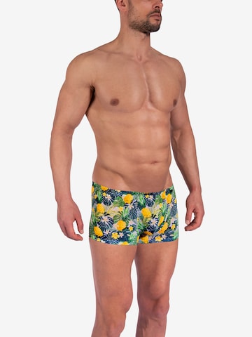 Olaf Benz Boxershort in Gelb