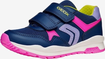 Sneaker di GEOX in blu: frontale