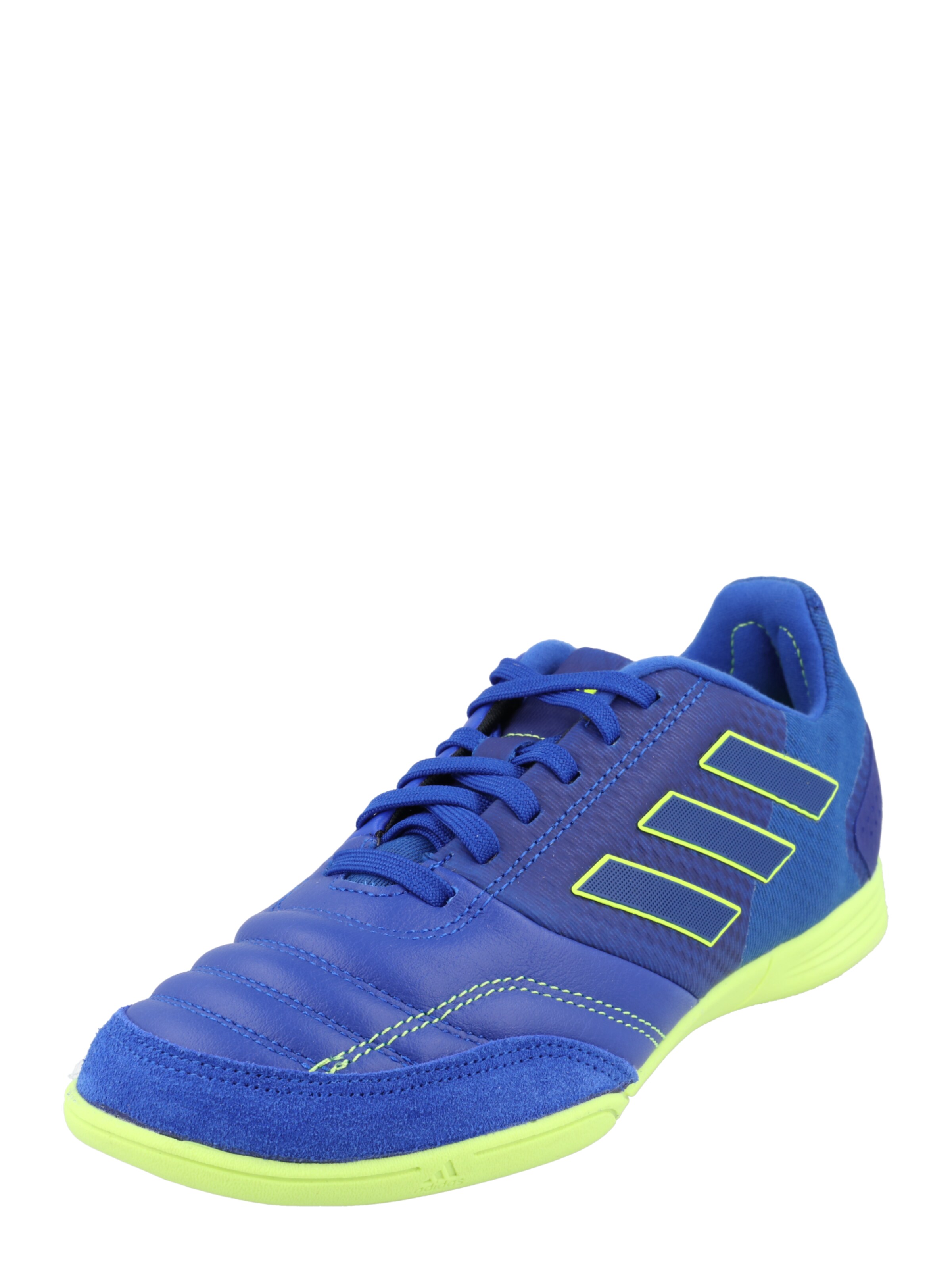ADIDAS PERFORMANCE Athletic Shoes 'Top Sala Competition Indoor' in Blue |  ABOUT YOU