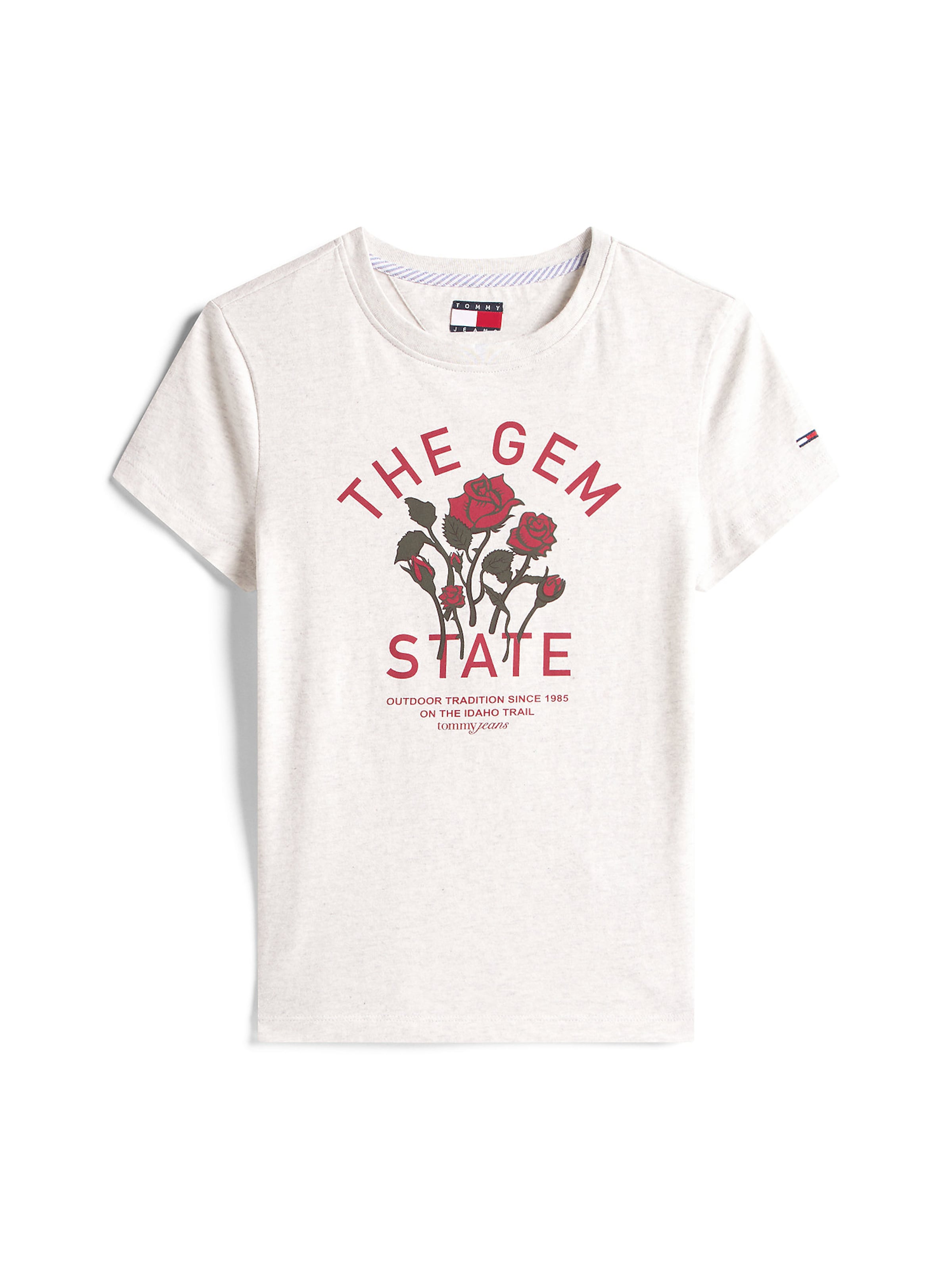 Tommy Jeans T-Shirt in hellgrau / oliv / rot, Produktansicht
