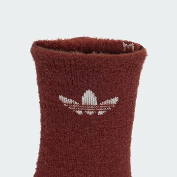 ADIDAS ORIGINALS Κάλτσες σε καφέ
