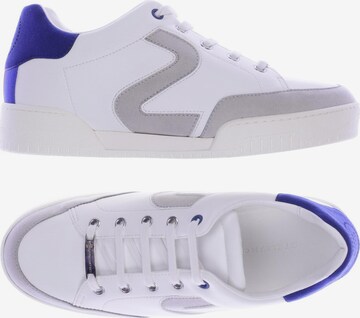 Stella McCartney Sneakers & Trainers in 39 in White: front