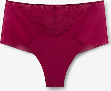 INTIMISSIMI Slip in Lila: Vorderseite