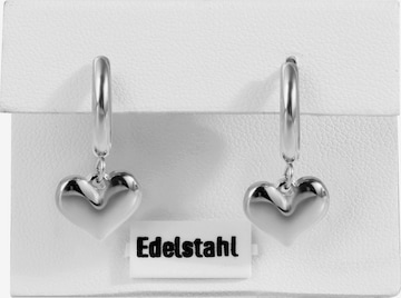 Akzent Earrings 'Feynarie, langlebig' in Silver: front