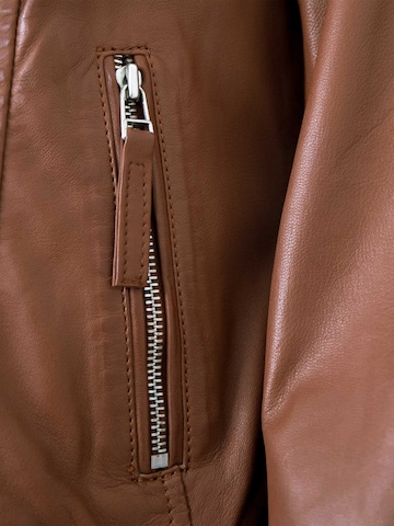 Jilani Between-Season Jacket 'Fulya' in Brown