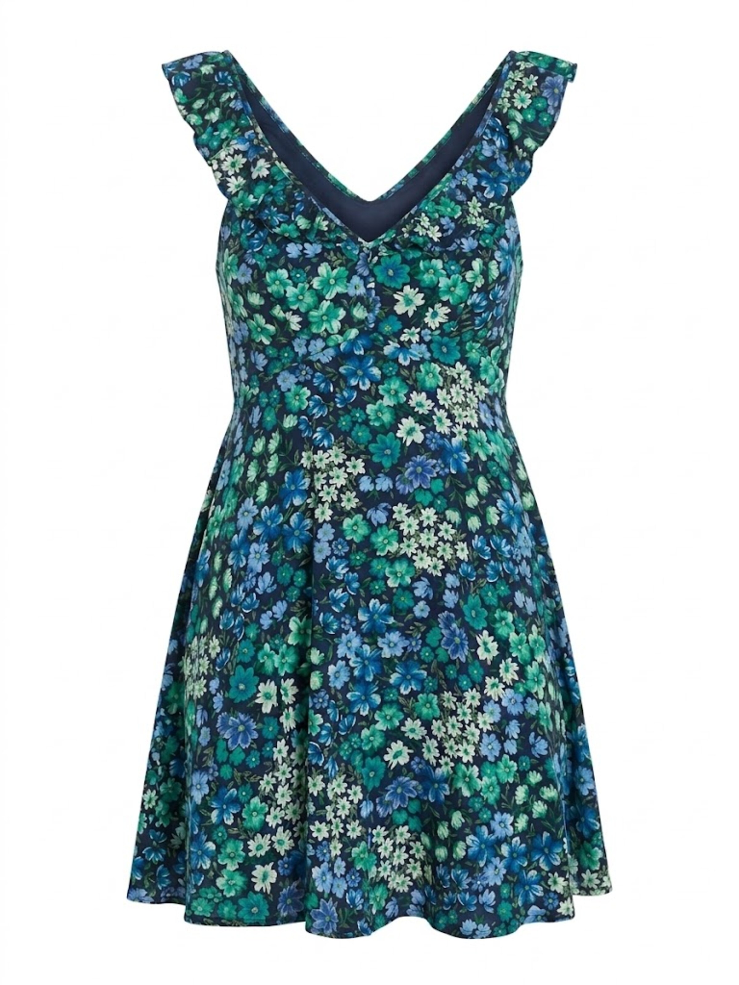 Robe Apricot en bleu : devant