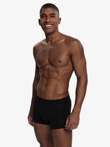 ESPRIT Boxershorts in Mischfarben