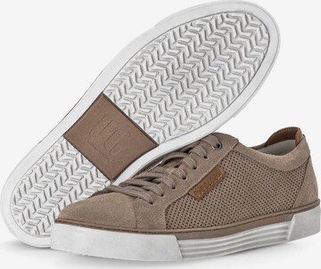 Pius Gabor Sneakers in Brown