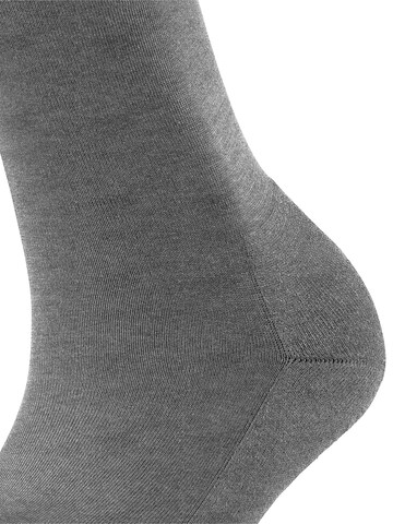 FALKE Socken 'ClimaWool'‌‌‌‌‌‌‌‌‌‌ in Grau