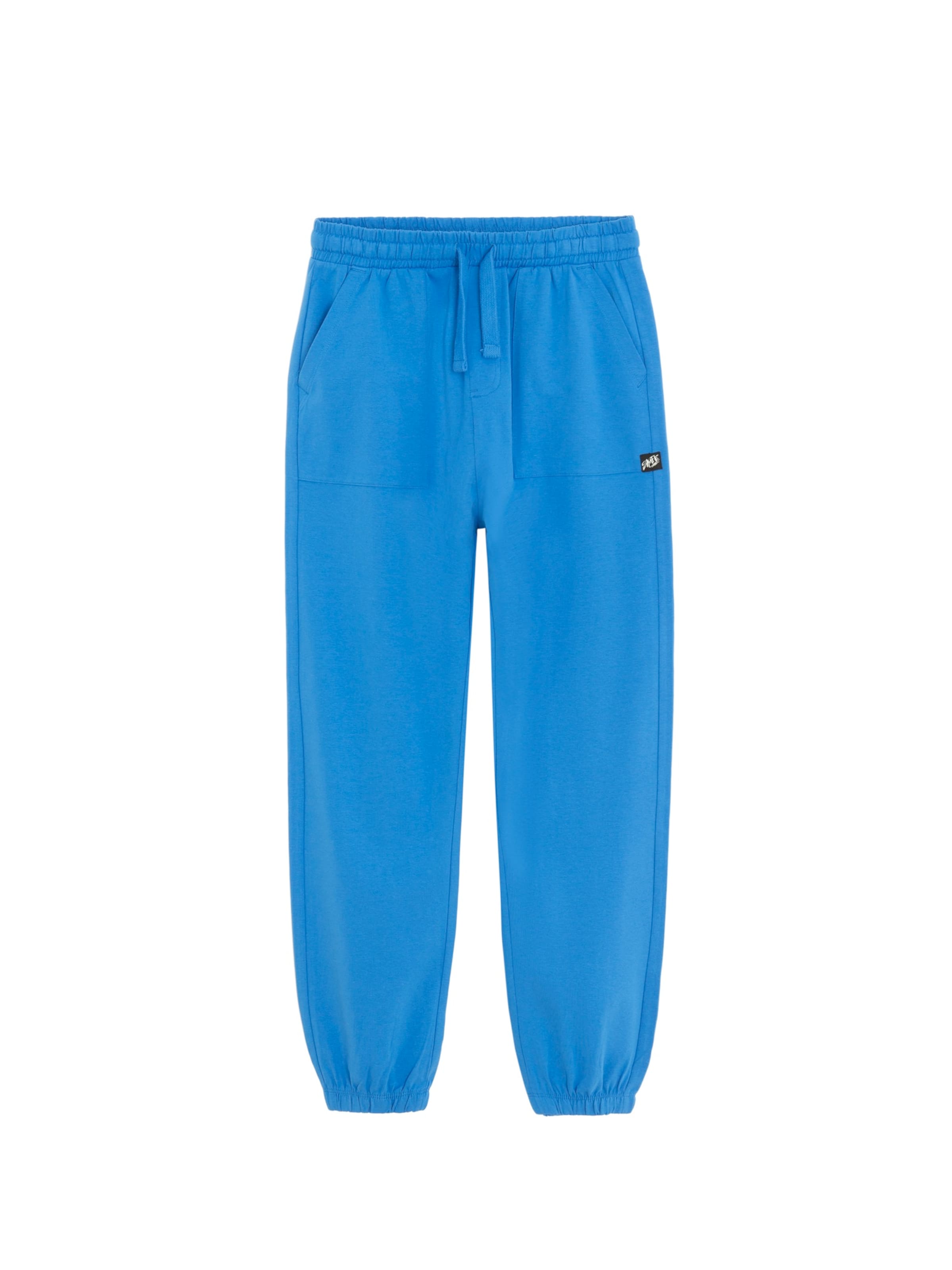 Cool Club Обычный Штаны в Синий: спереди