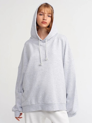Dilvin - Sweatshirt em cinzento: frente