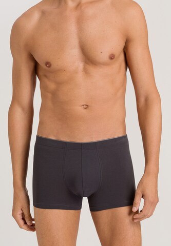 Hanro Pants ' Cotton Superior ' in Grau: predná strana